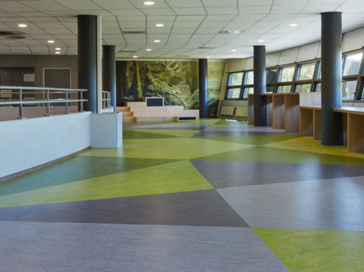 Helen Parkhurst Scholengemeenschap