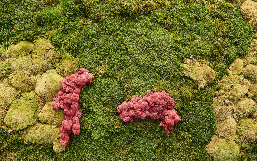 Wist u dat het nu al mogelijk is om voor een geheel circulaire kantoorinrichting te kiezen?