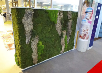 VPRO Greenwall bolmos, rendiergras