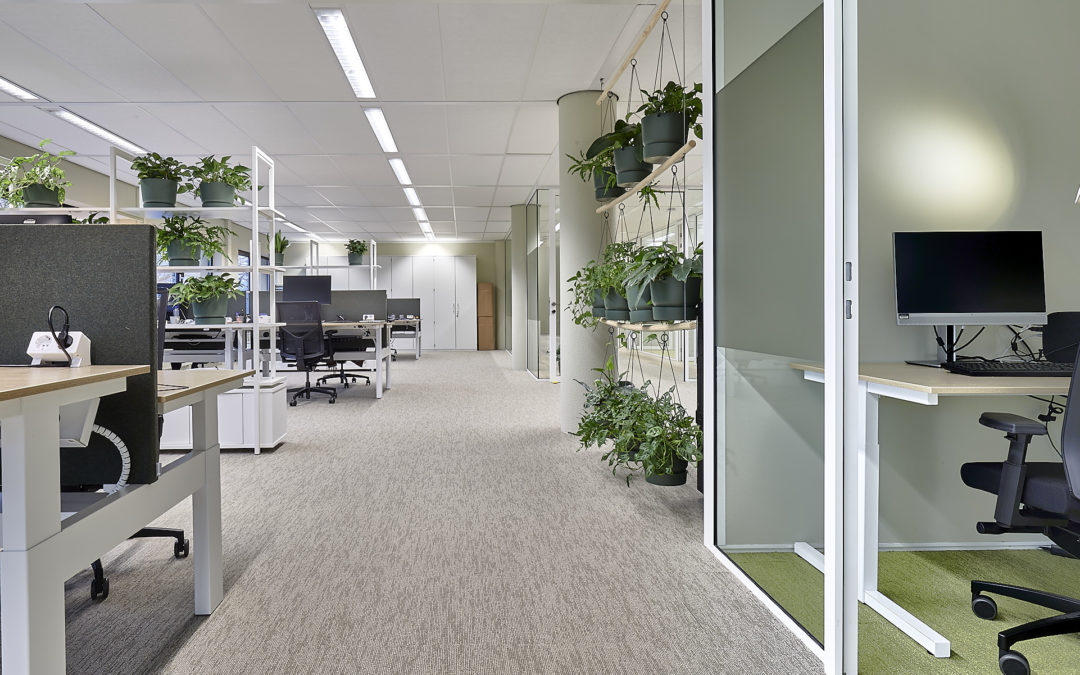 Transformatie de Waag in Groningen: ‘Medewerkers en cliënten voelen zich op hun gemak’