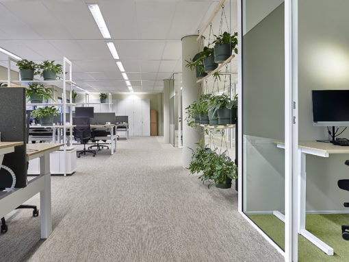 Transformatie de Waag in Groningen: ‘Medewerkers en cliënten voelen zich op hun gemak’