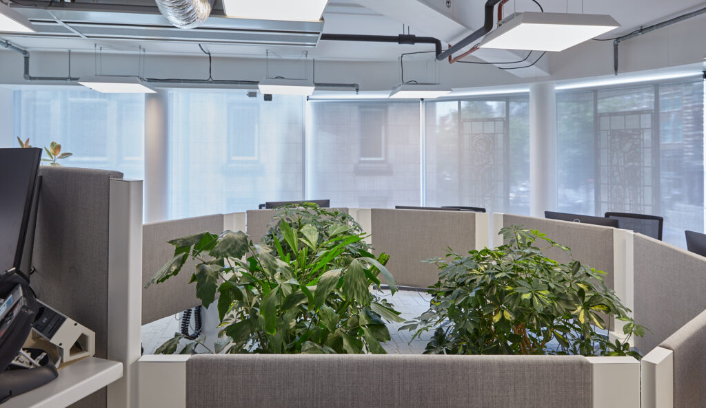 PD Group - projectinrichting NRC