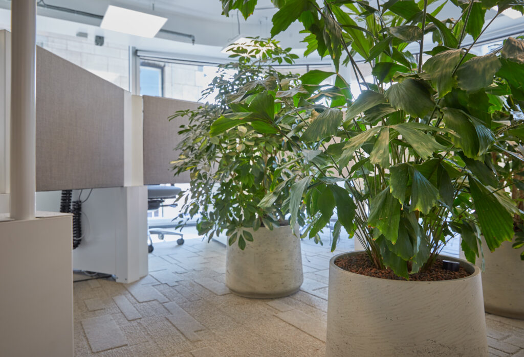 PD Group - projectinrichting NRC