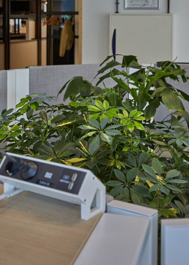 PD Group - projectinrichting NRC